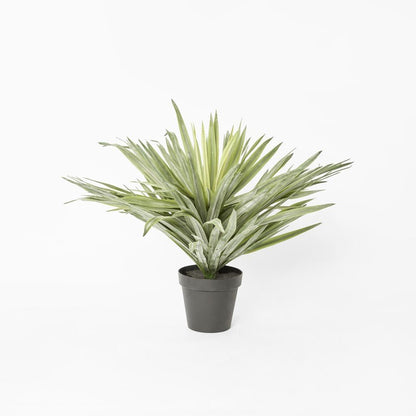 Soft Touch Potted Sisal Plant 68cm, view 2