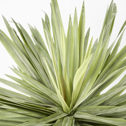Soft Touch Potted Sisal Plant 68cm, view 3