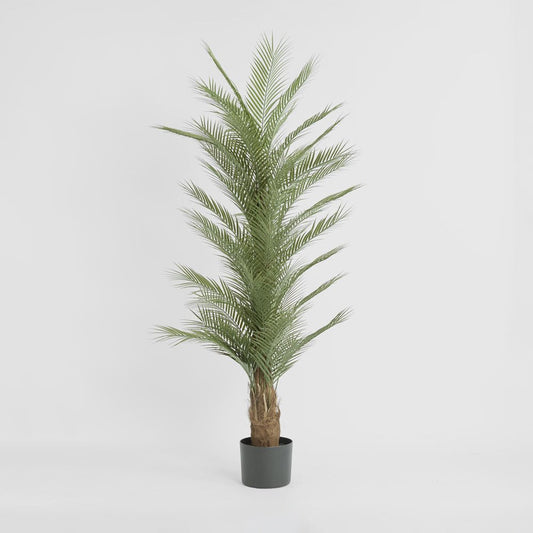 Real Touch Palm Tree 180cm, view 2