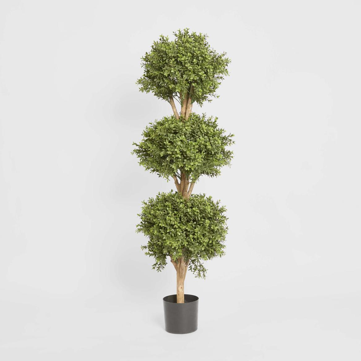 Boxwood Triple Ball Tree 1.2m