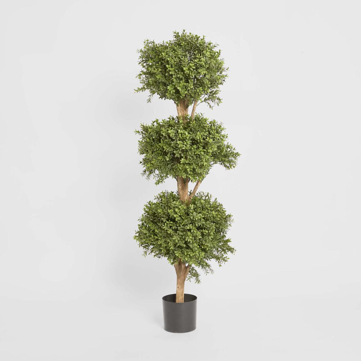 Boxwood Triple Ball Tree 1.2m