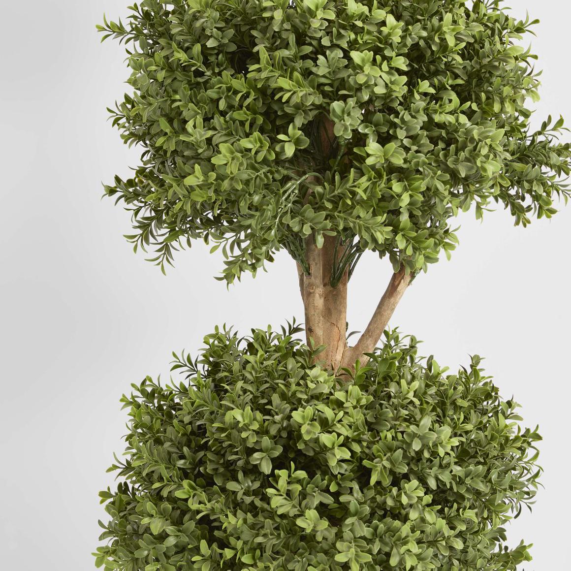 Boxwood Triple Ball Tree 1.2m