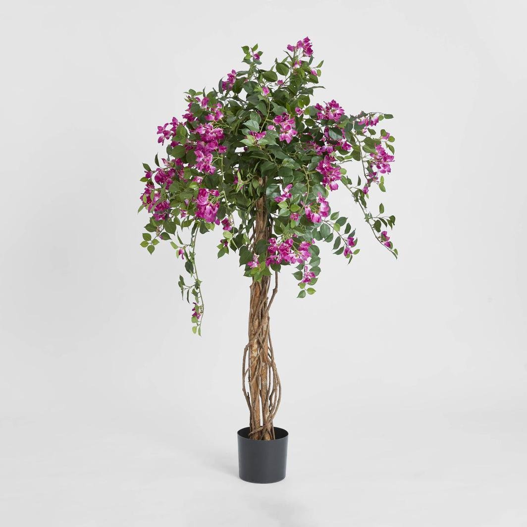 Bougainvillea Tree 1.6m | Luxury home decor and furniture by Home Decor & Co