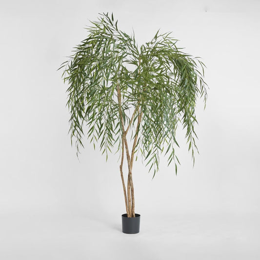 Willow Tree 1.8m, view 2
