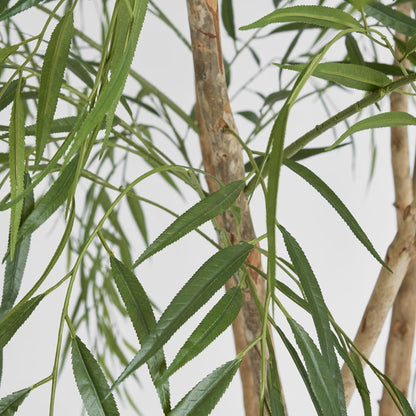 Willow Tree 1.8m, view 3
