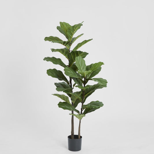 Fiddle Leaf Tree 1.13m, view 2