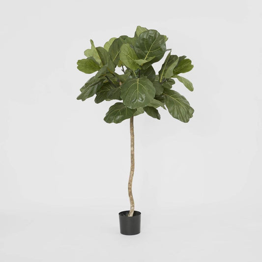 Fiddle Leaf Tree 1.5m | Luxury home decor and furniture by Home Decor & Co
