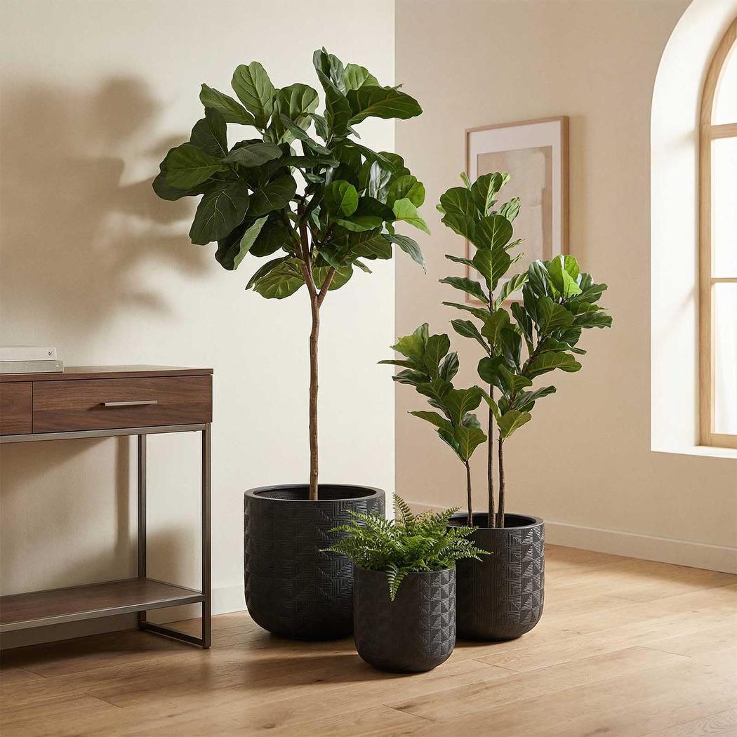 Fiddle Leaf Tree 215cm | Luxury home decor and furniture by Home Decor & Co