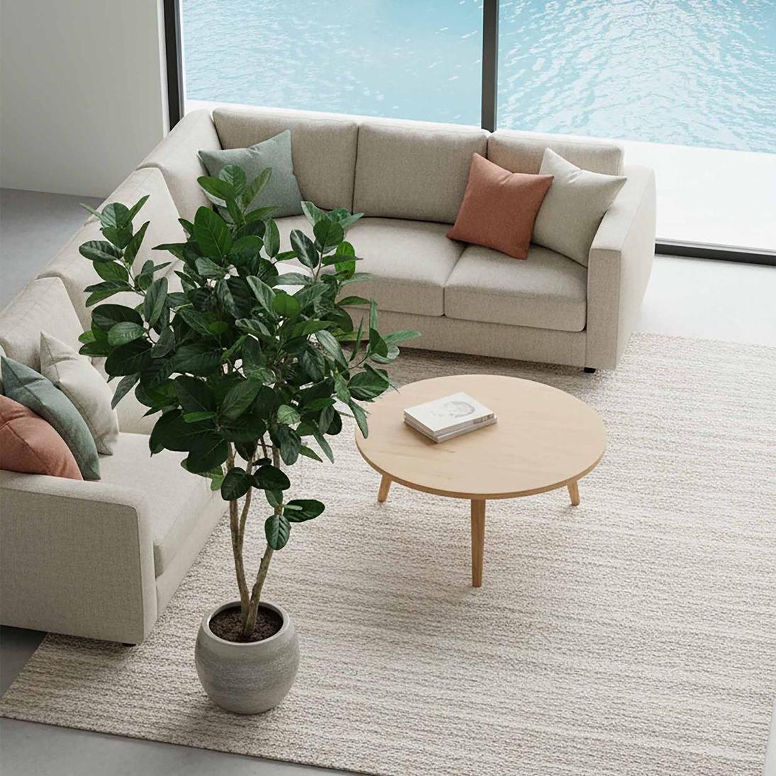 Fiddle Leaf Tree 2m