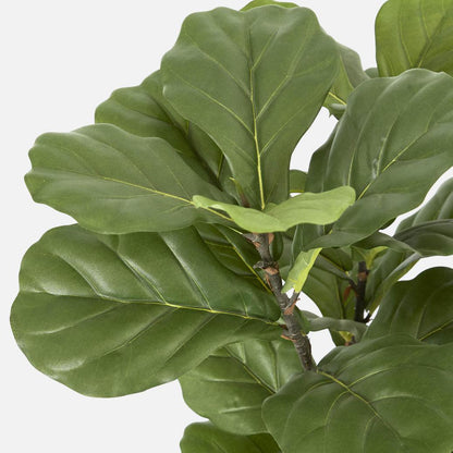 Fiddle Leaf Tree 93cm, view 3