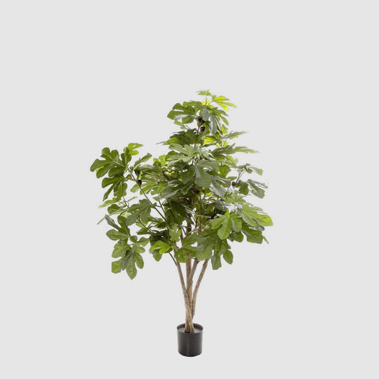 Fig Tree 1.1m | Luxury home decor and furniture by Home Decor & Co