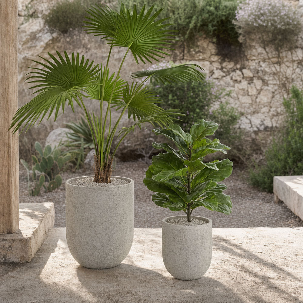 Fan Palm Tree 200cm