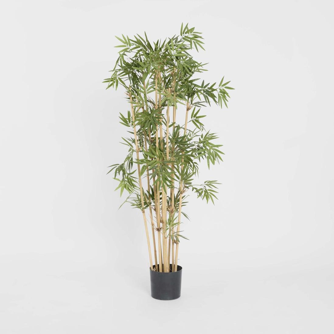 Japanese Bamboo Tree 1.2m | Luxury home decor and furniture by Home Decor & Co