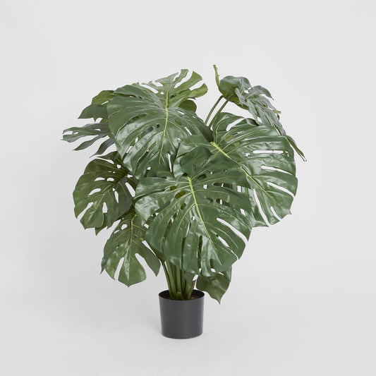 Monstera Split Philo 98cm, view 2