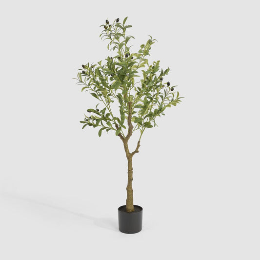 Potted Olive Tree 120cm | Luxury home decor and furniture by Home Decor & Co
