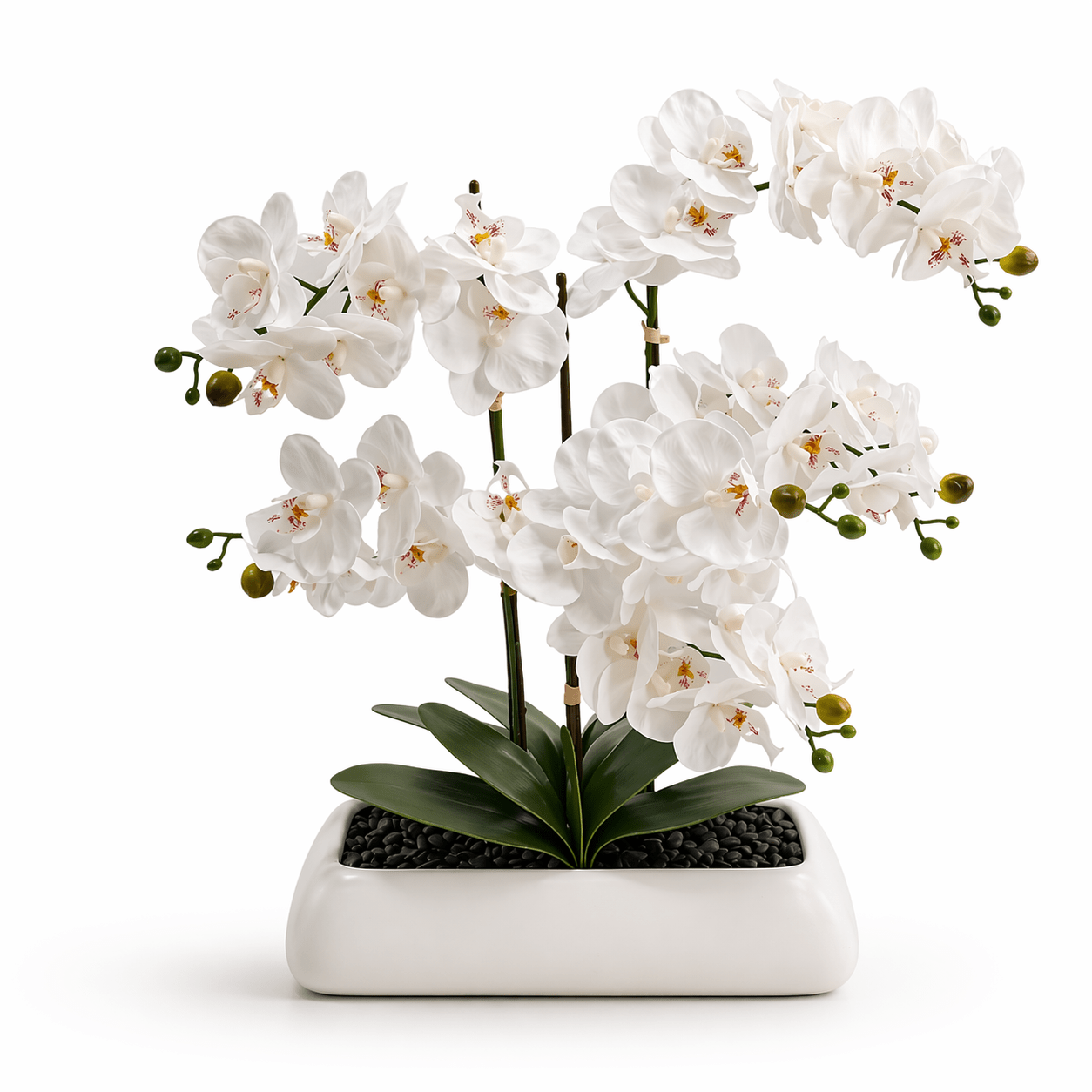 White Orchid In Rectangle Ceramic Pot 56x61cm | Luxury home decor and furniture by Home Decor & Co