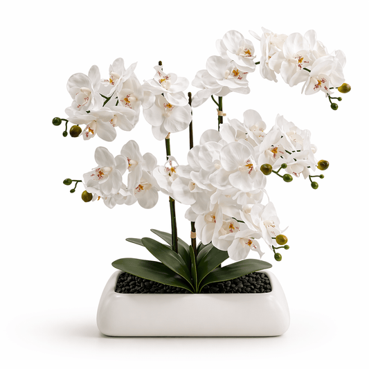 White Orchid In Rectangle Ceramic Pot 56x61cm | Luxury home decor and furniture by Home Decor & Co