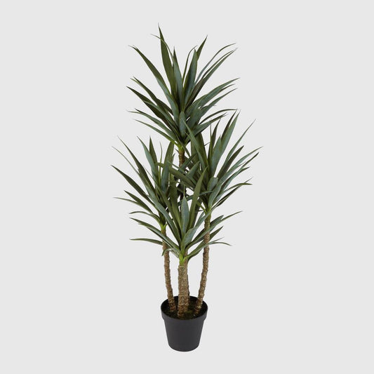 Yucca 5 Branch in Black Pot | Luxury home decor and furniture by Home Decor & Co