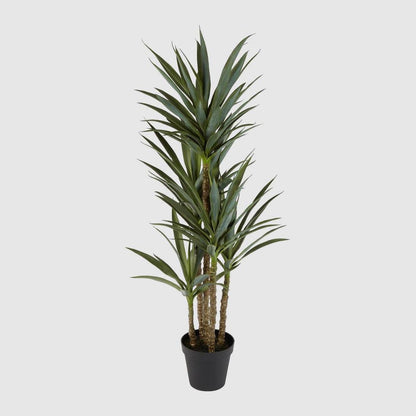 Yucca 5 Branch in Black Pot 152cm, view 2