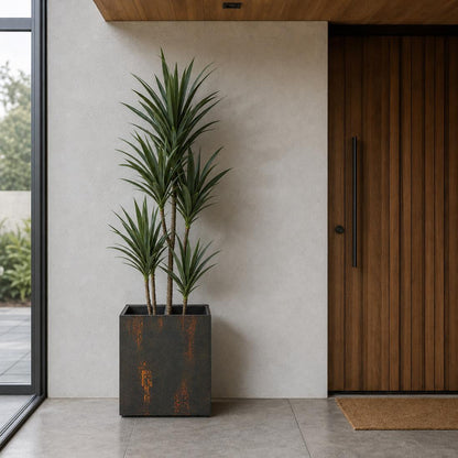 Yucca 5 Branch in Black Pot 152cm, view 3