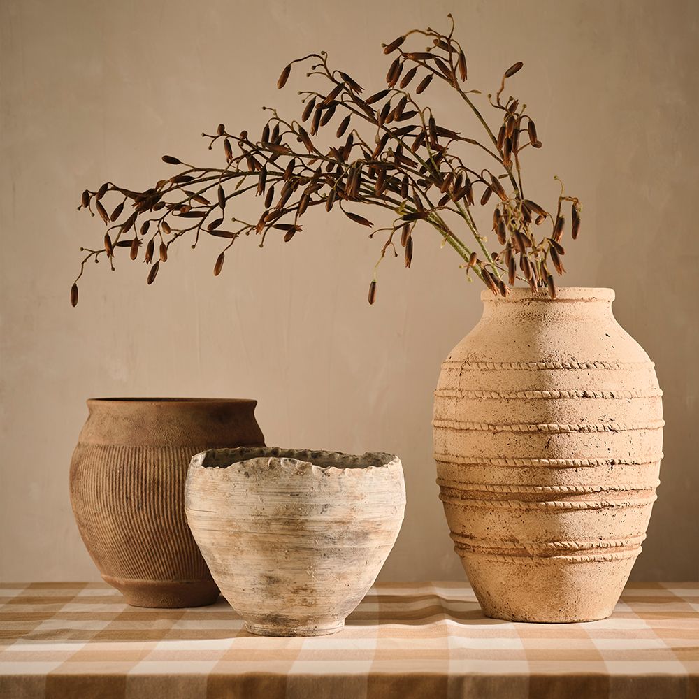 Sumati Pot Nevada