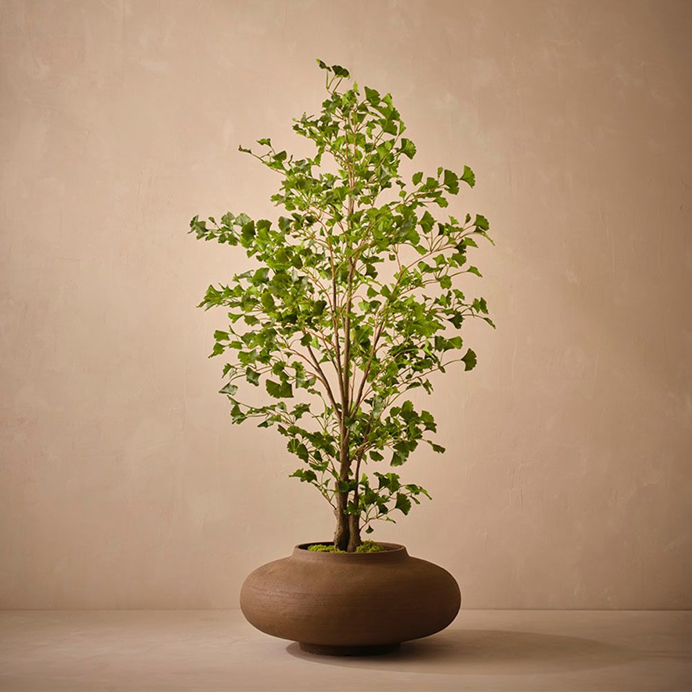 Novae Pot Wood