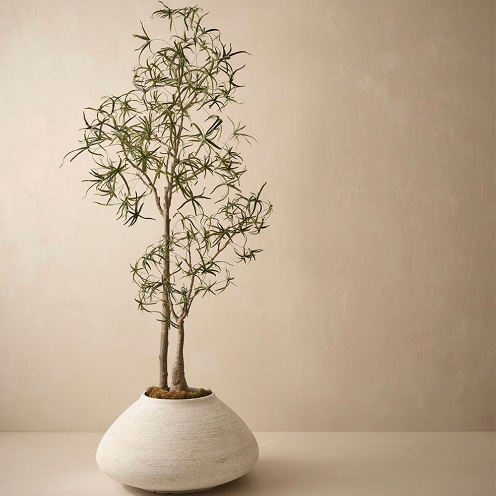 Novae Pot Whisper White